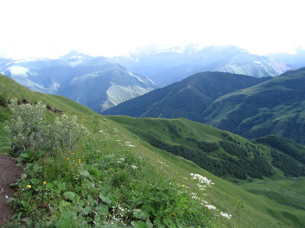 Андрей Копылов