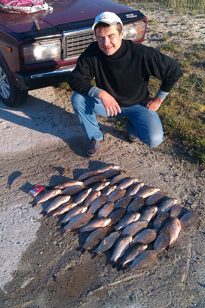 Павел Горнаков