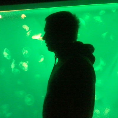 Саша Александрович