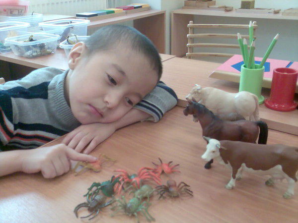 Сандугаш Аманбаева