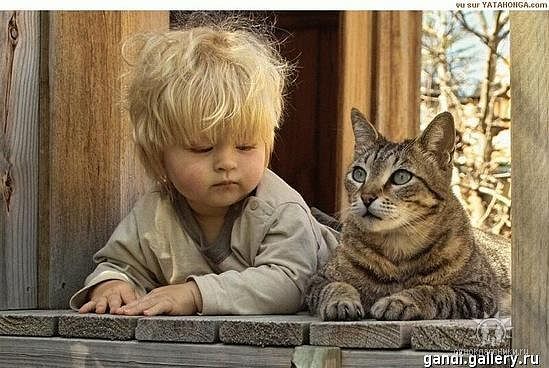 Татьяна Вигилянская