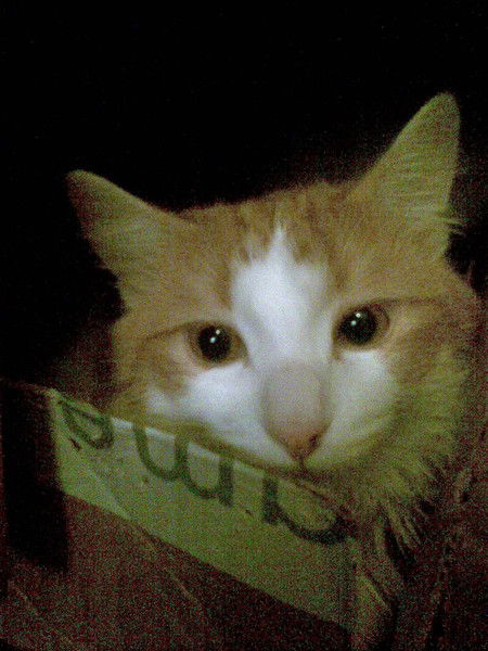 Алёна Михайловна