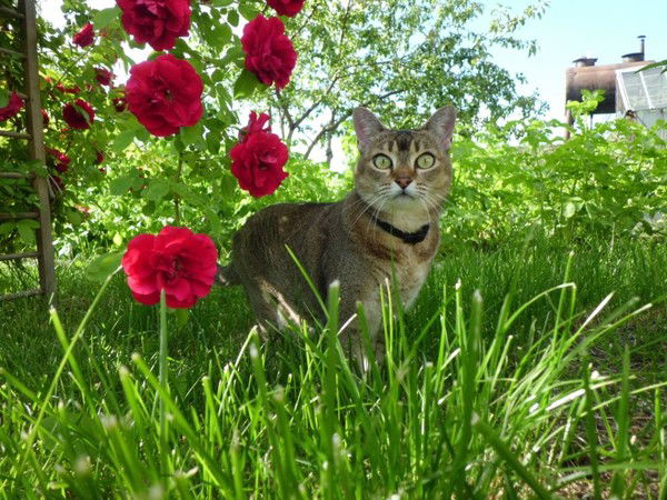 Ольга Гусарова