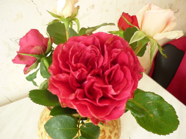 Нина Сычева