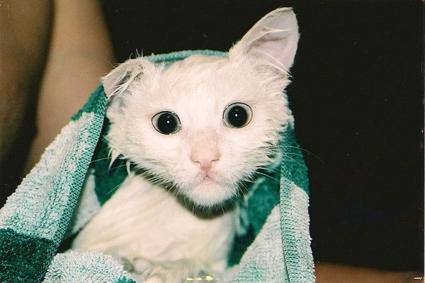 Камиль Султаналиев