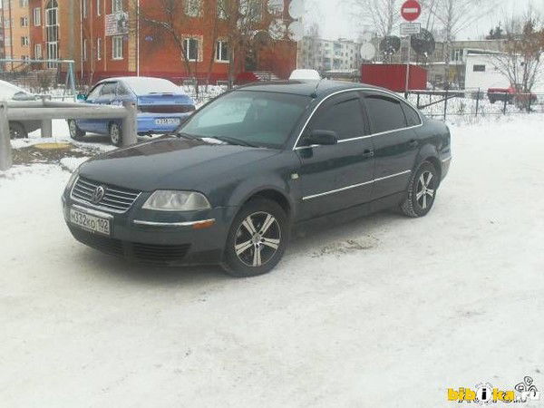 Александр Радковский