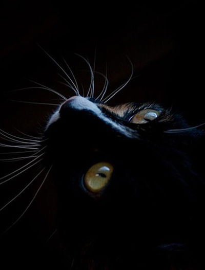 Кояш Гатауллина