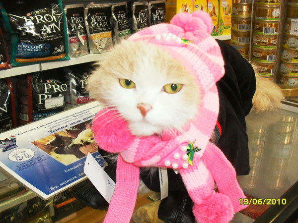 Магазин Матроскин