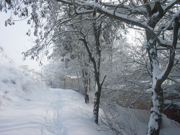 Елена Нестерук