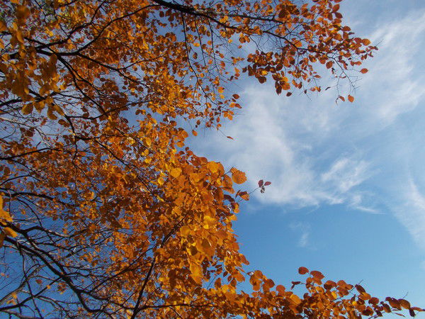 Марина Филатова