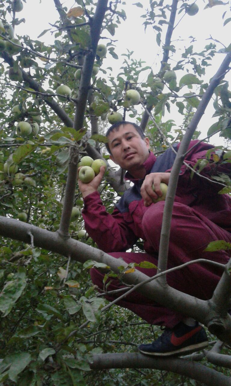 Жениш Матанов