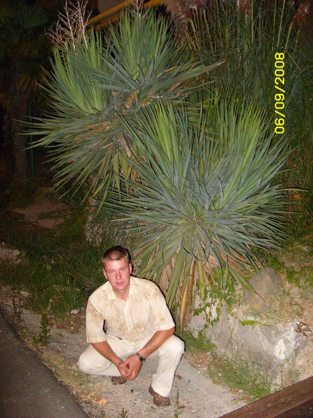 Александр Здобнов