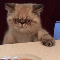 Иван Миненков