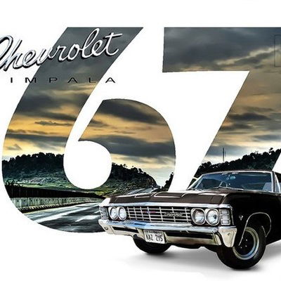 Даша Запорожец