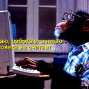 Дмитрий Портнов