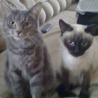 Саша Чиркин