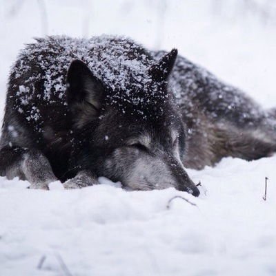 Владислав Фомин