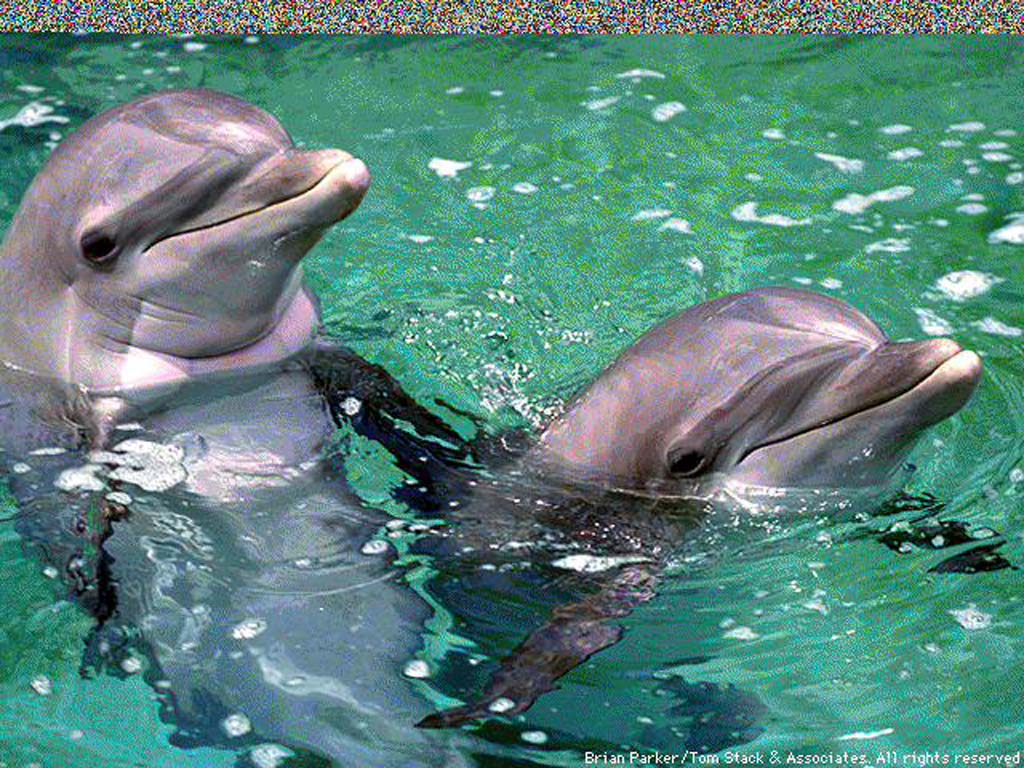 Ольга Горюнова