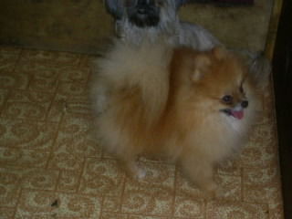 Надежда Шаблакова