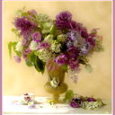 Людмила Шадрина (Зарубина)