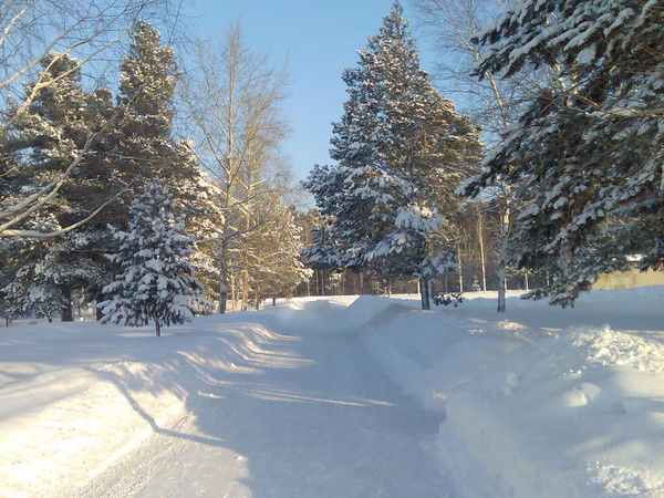 Гасайни Табуков