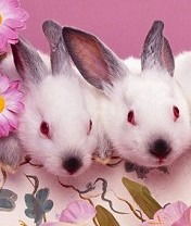 Елена Лопанова