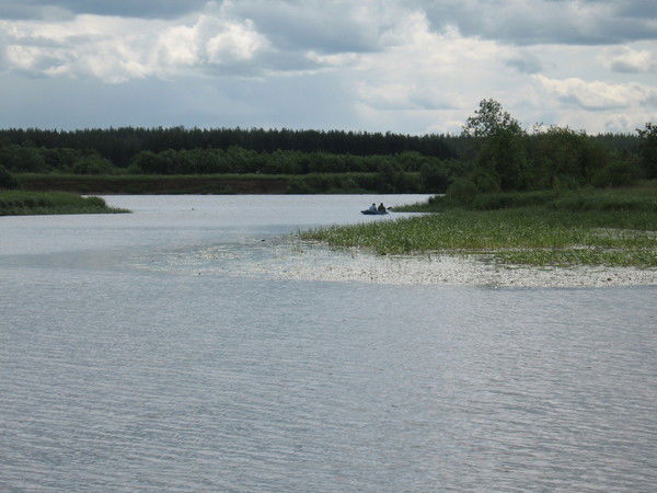 Вера Васильева