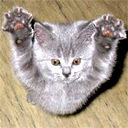 Никита Cоловьёв