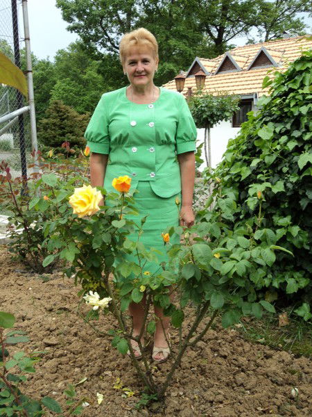 Татьяна Меченко