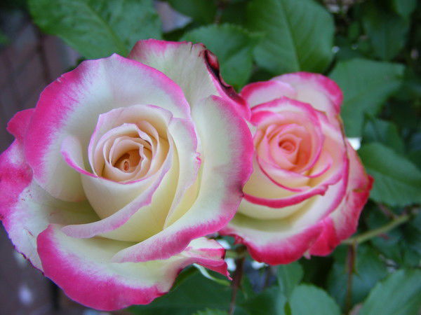 Шолпан Сейсембаева