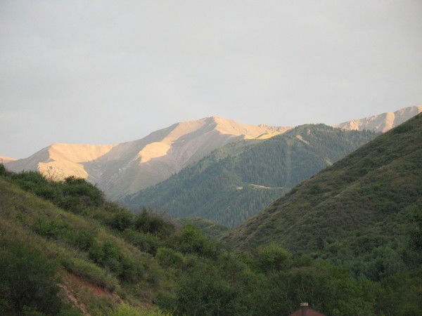 Анастасия Вобликова