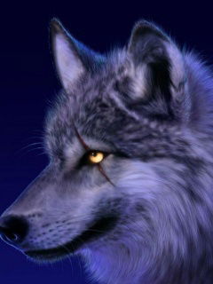 Сергей Никулаёнков