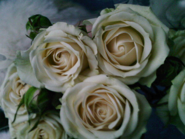 Ира Григорьева