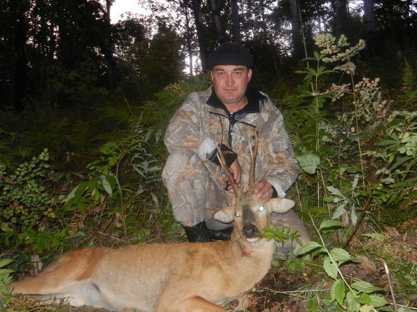 Александр Холодный