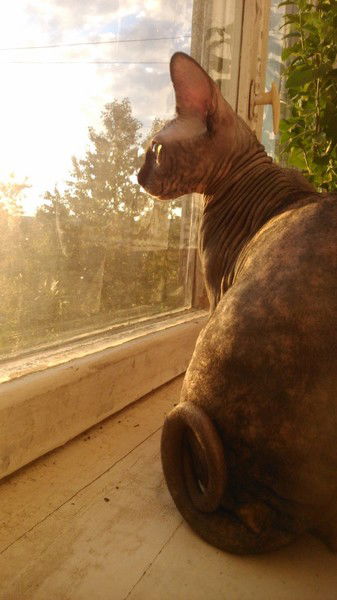 Любовь Герасимова