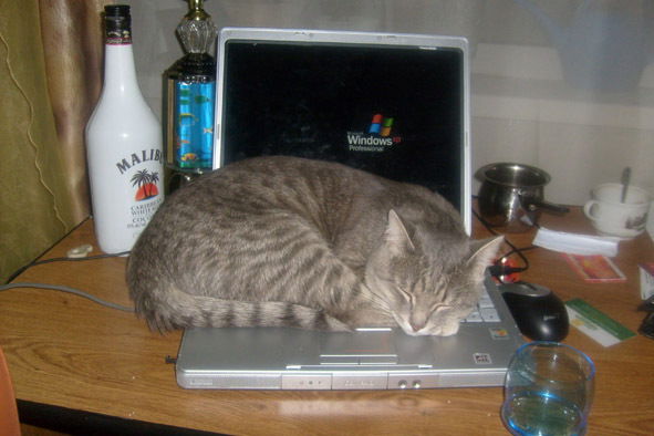 Аня Луконина