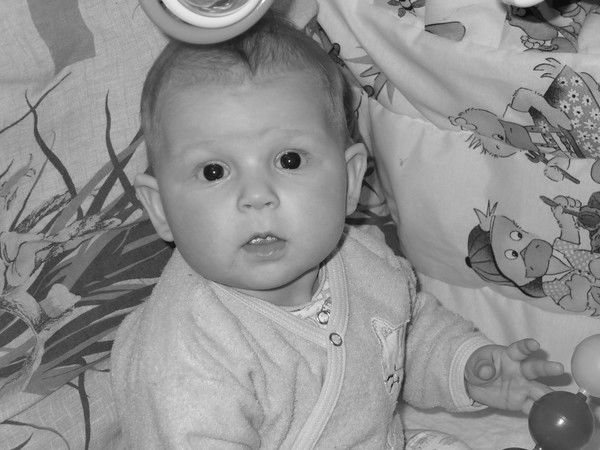 Полина Кленина