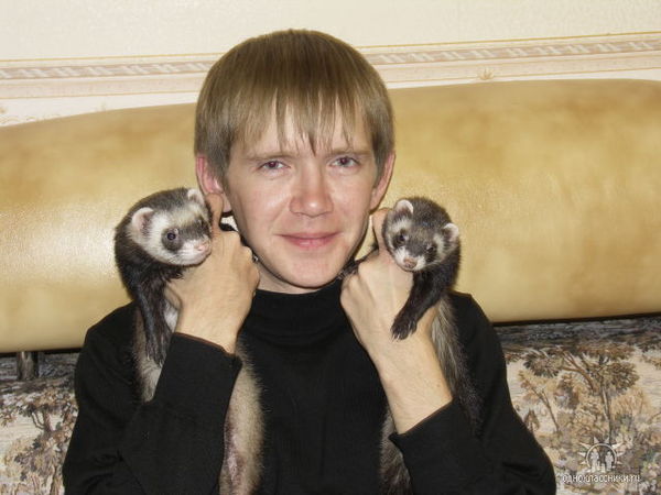 Максим Алексеев