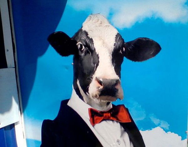 Владимир Звонов