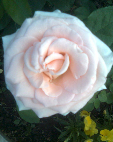 Марина Тяпухина