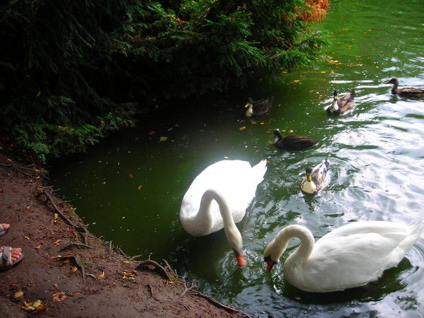 Татьяна Дроздова