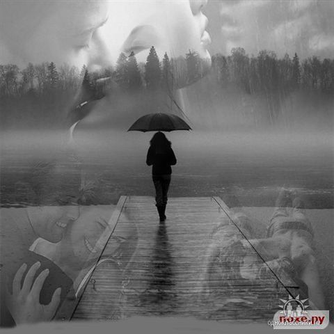 Светлана Новохацкая