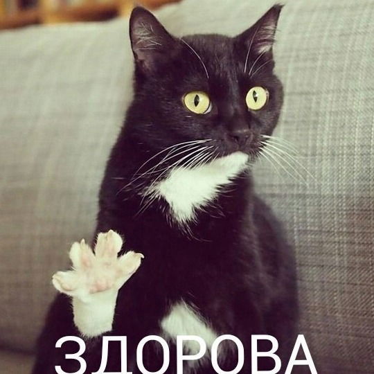 Алексей Суханов