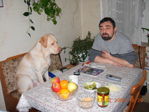 Олег Железняк