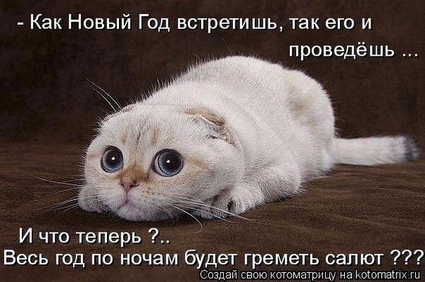 Максим Цыпалов