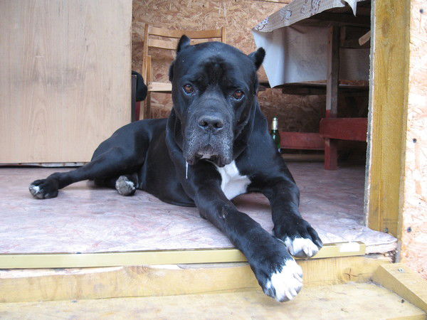 Дмитрий Иванов