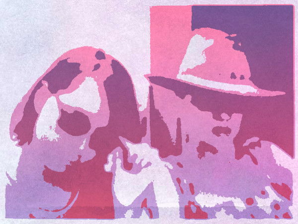 Насыбулина Дина