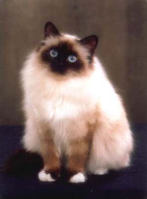 Валерий Крылов