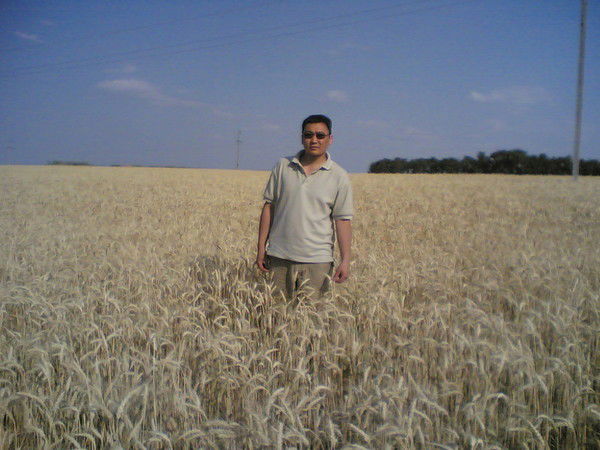 Санал Басангов