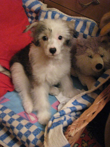 Ольга Мозжухина